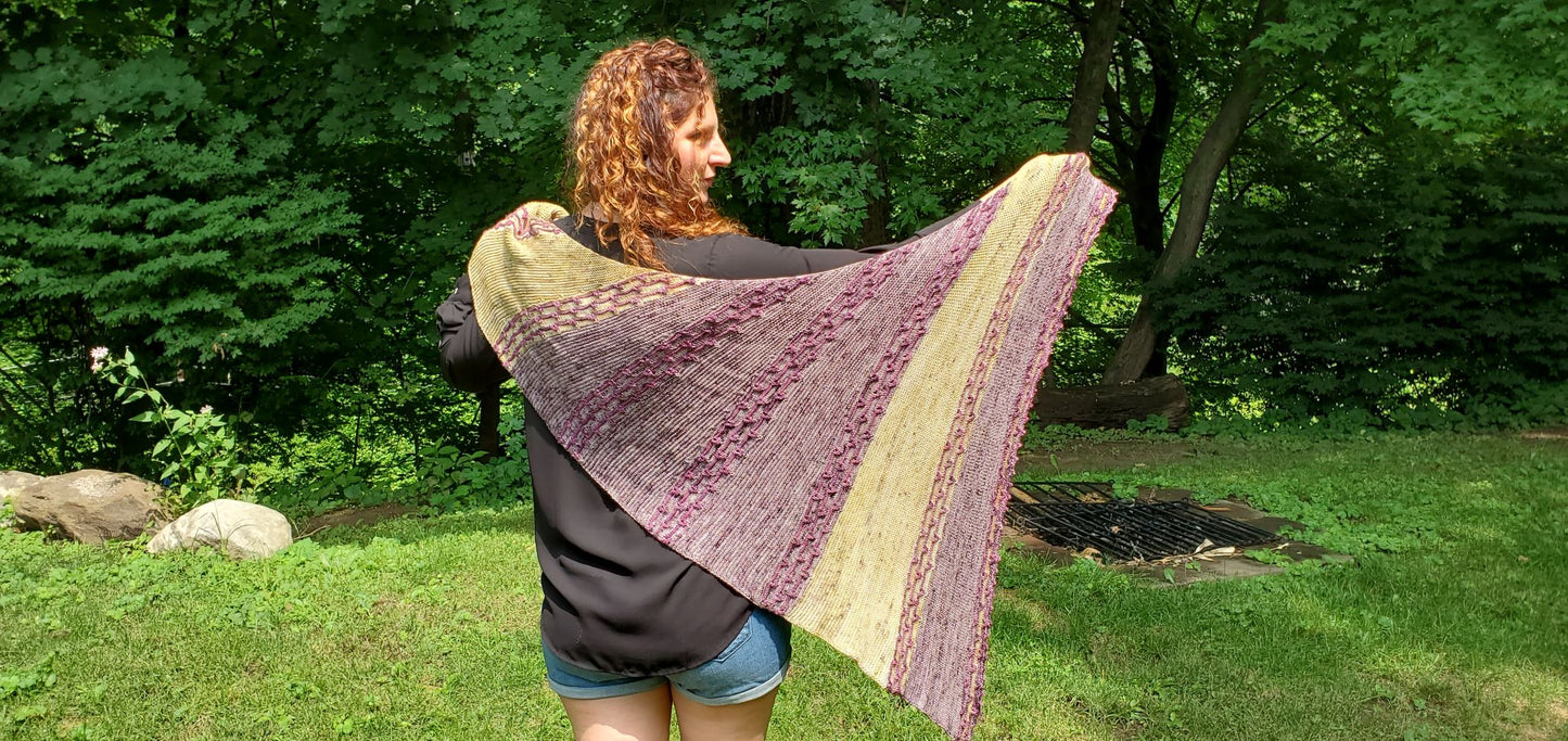 Raising Eyebrows Shawl
