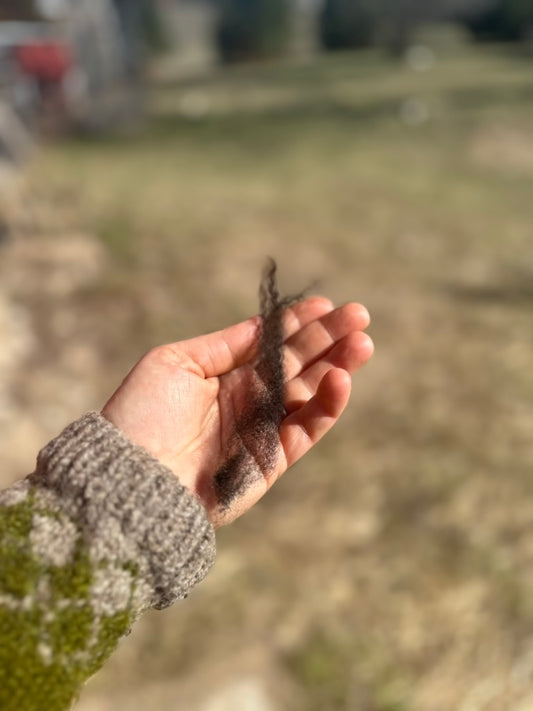 Spring and wool, it's been a good 12 months.
