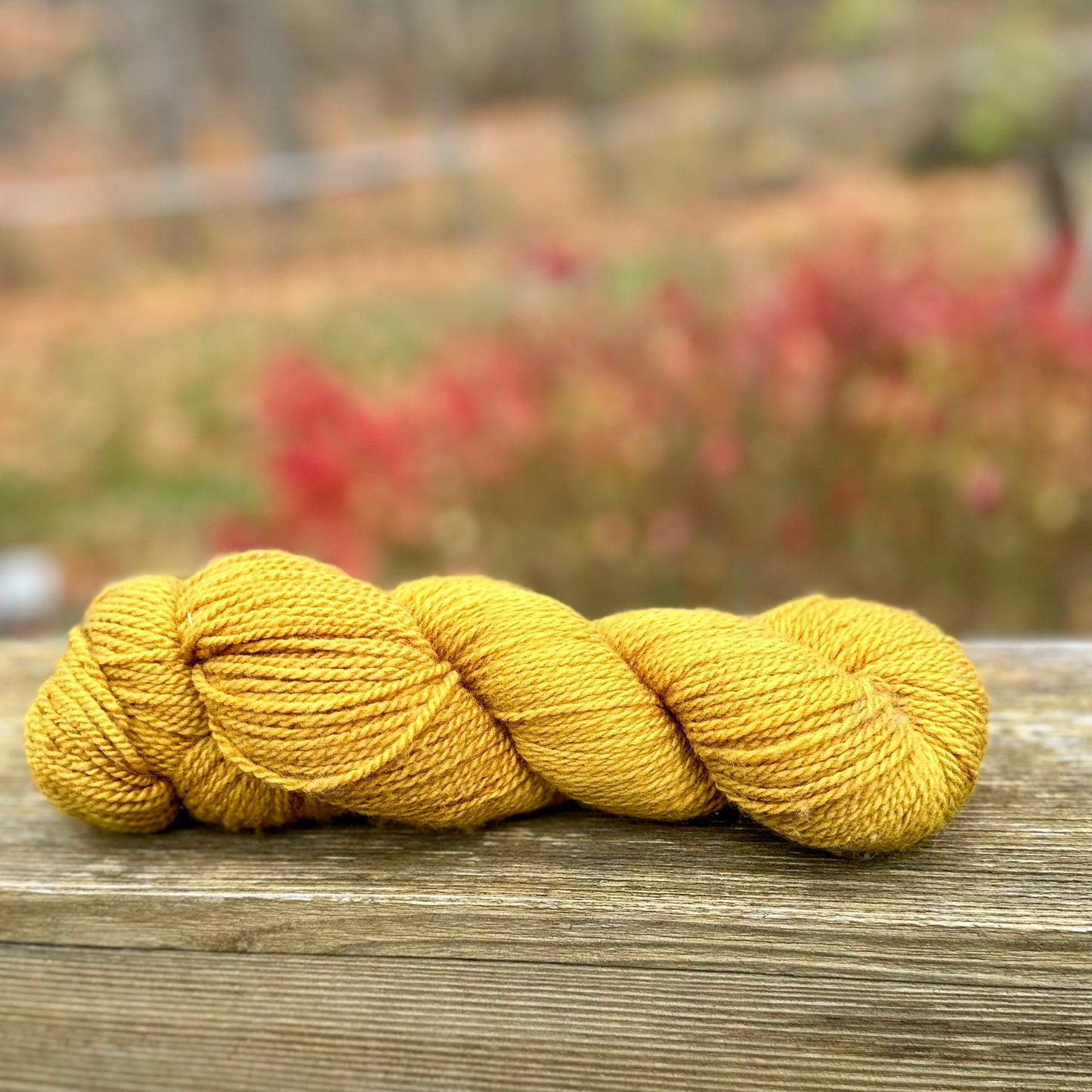 A Peak Inside hat kit