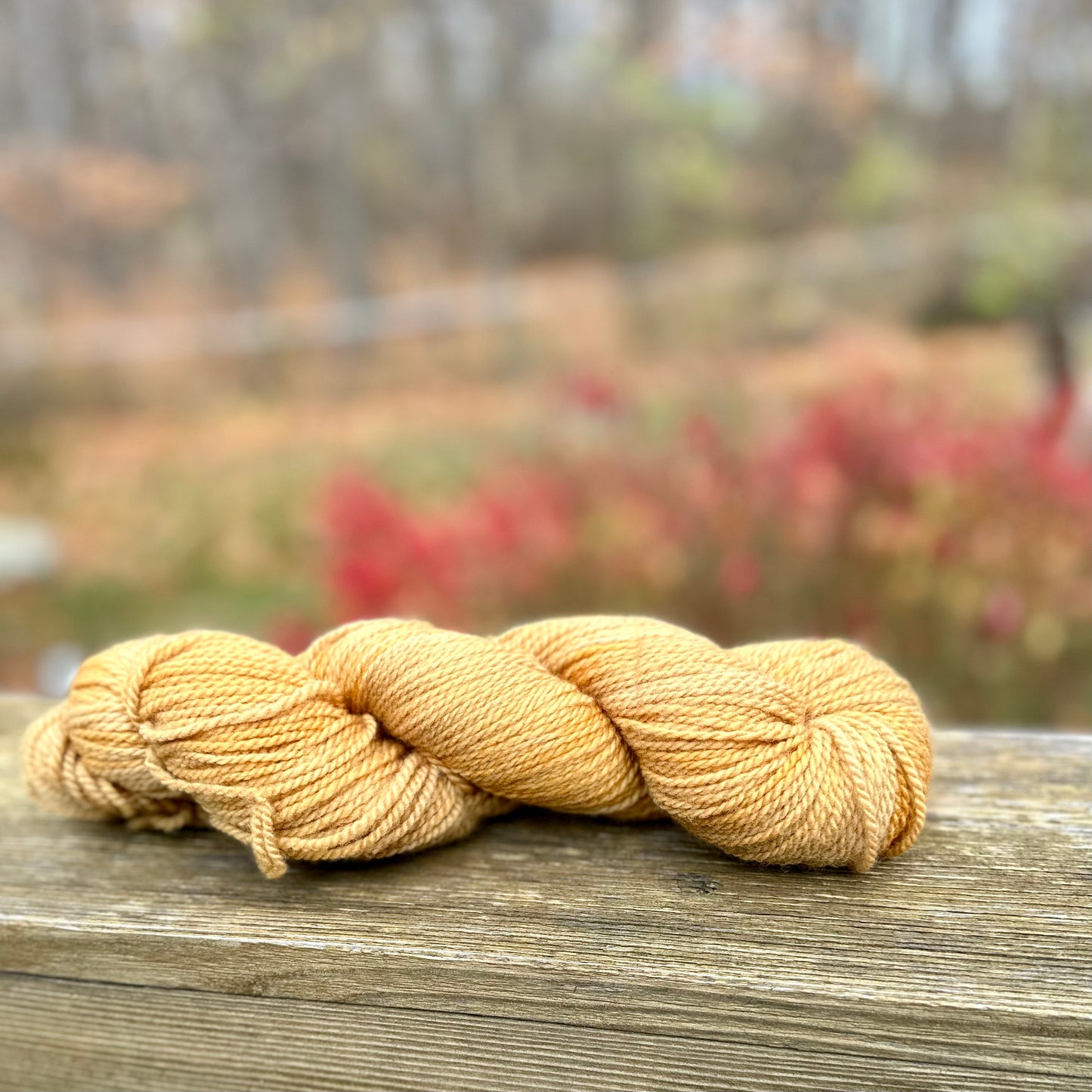 A Peak Inside hat kit