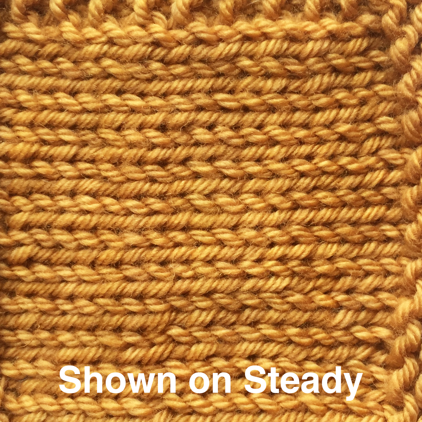 Steady